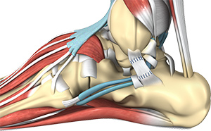 Sprains & Strains